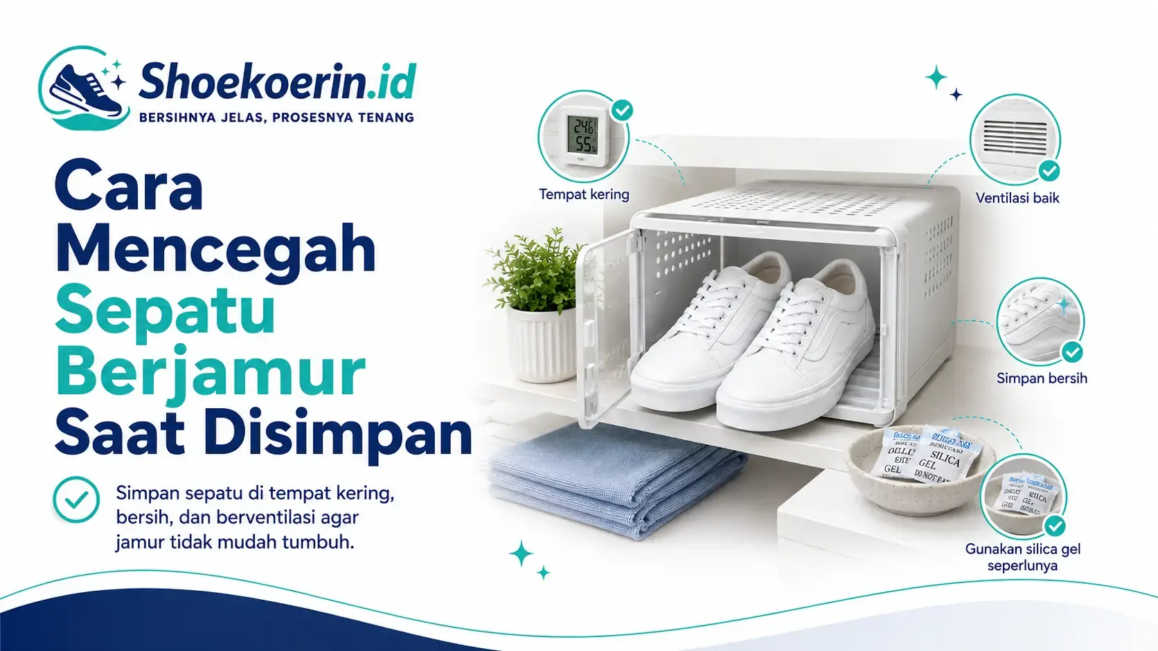 Cara Mencegah Sepatu Berjamur Saat Disimpan